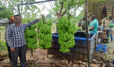 व्हायचे होते फौजदार, वाट वळली शेतीकडे