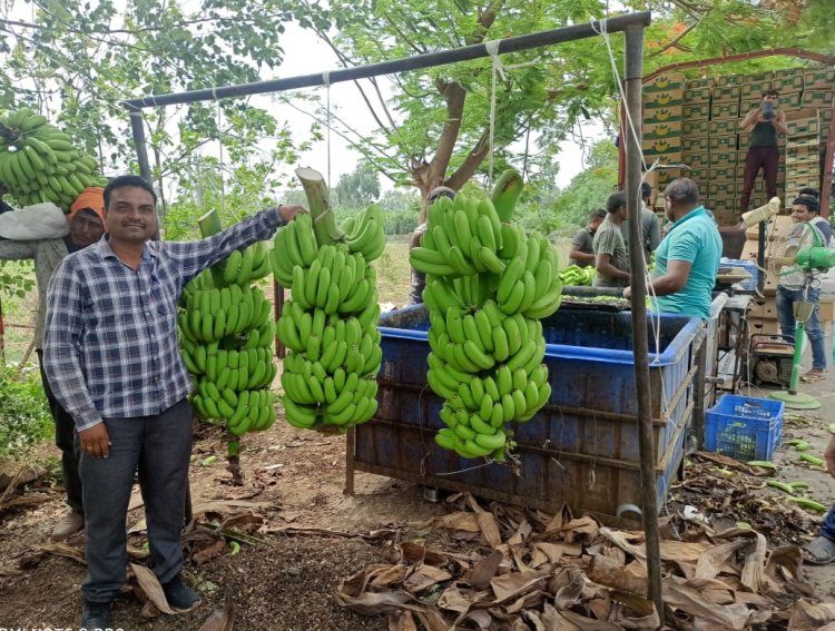 व्हायचे होते फौजदार, वाट वळली शेतीकडे