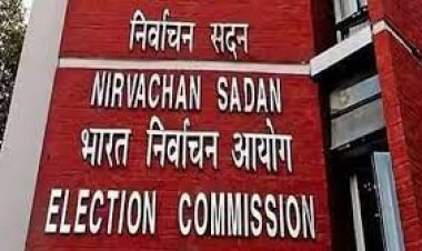 निवडणुक आखाडा रंगणार : जिल्हा परिषद, पंचायत समिती, नगरपालिकांच्या निवडणूक सप्टेंबर-ऑक्टोबरमध्ये