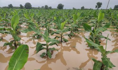 लोकप्रतिनिधींनी शेतकऱ्यांच्या मदतीचा अधिवेशनात प्रश्न मांडावा