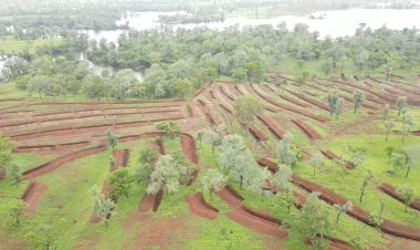 ब्रेकिंग : अतिक्रमण हटवले : सुकी धरण परिसरात वन विभागाची कारवाई