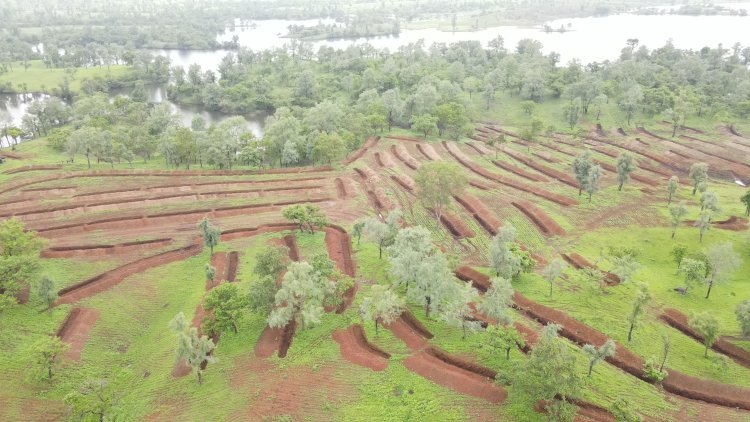 ब्रेकिंग : अतिक्रमण हटवले : सुकी धरण परिसरात वन विभागाची कारवाई