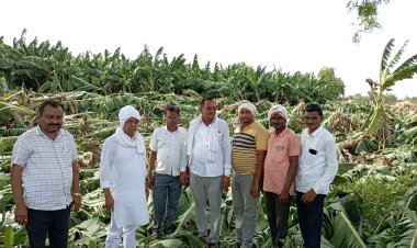 आमदार शिरीष चौधरींनी केली नुकसानीची पाहणी : पंचनामे करण्याच्या प्रशासनाला सूचना