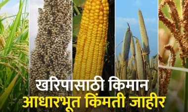 शेतकऱ्यांना भीक नको, घामाचे दाम द्या : पिकांची किमान आधारभूत किंमत असमाधानकारक