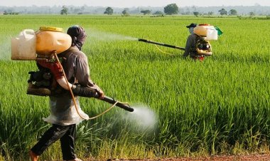 कृषी उत्पादनांची गुणवत्ता व दर्जा अबाधित राहण्यासाठी आता राष्ट्रीय कृषी संहिता