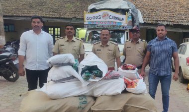 चोरवड सीमा तपासणी नाक्यावर वाहनासह 22 लाखांचा गुटका जप्त : रावेर पोलिसांची मोठी कारवाई