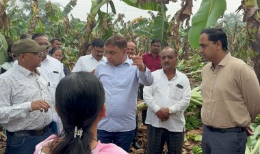 आमदार अमोल जावळे नुकसानीच्या पाहणीसाठी शेतकऱ्यांच्या बांधावर : यावल तालुक्यातील नुकसानीची जिल्हाधिकाऱ्यांच्या उपस्थितीत पाहणी : नुकसानीचे पंचनामे सुरु