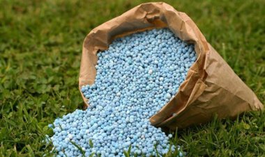 कृषीसेवकची दखल : खतांचा साठा व विक्रीत तफावत आढळल्यास खत विक्रेत्यांवर कारवाई ; खतांच्या विक्रीच्या नोंदी व प्रत्यक्ष साठा तपासणीचे आदेश : कृषी आयुक्त