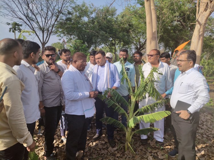 आमदार अमोल जावळे नुकसानीच्या पाहणीसाठी थेट शेताच्या बांधावर : तातडीने पंचनाम्याचे आदेश
