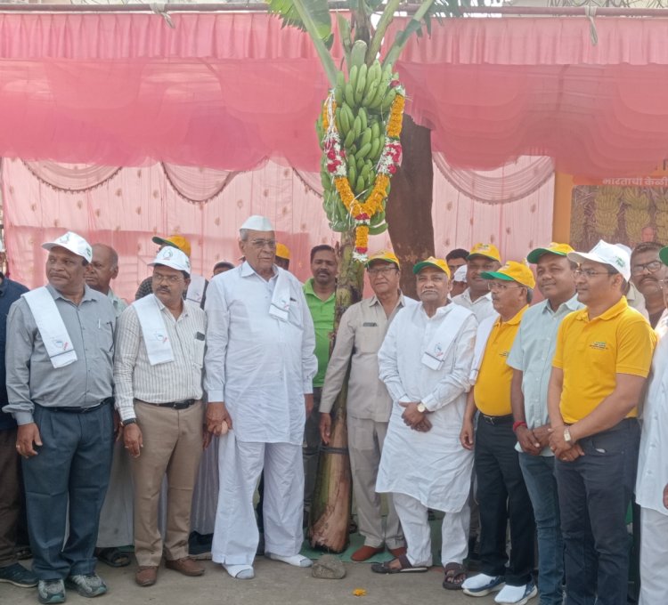 केळीचे निर्यातक्षम उत्पादन घेण्याचा प्रयत्न शेतकऱ्यांनी करावा : माजी आमदार अरुण पाटील :रावेरला राष्ट्रीय केळी दिन साजरा