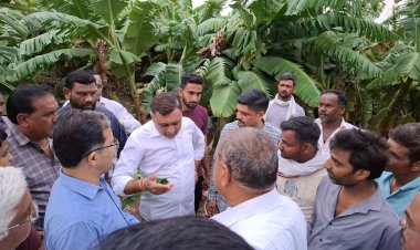 रावेर तालुक्यात अवकाळीने महिनाभरात 50 कोटींचे नुकसान : नुकसानग्रस्तांच्या आर्थिक मदतीसाठी शासनाकडे पाठपुरावा करणार : आमदार अमोल जावळे