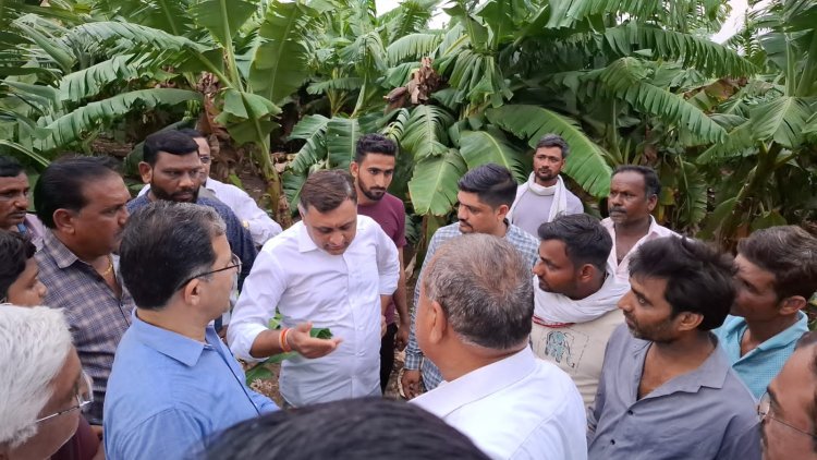 रावेर तालुक्यात अवकाळीने महिनाभरात 50 कोटींचे नुकसान : नुकसानग्रस्तांच्या आर्थिक मदतीसाठी शासनाकडे पाठपुरावा करणार : आमदार अमोल जावळे