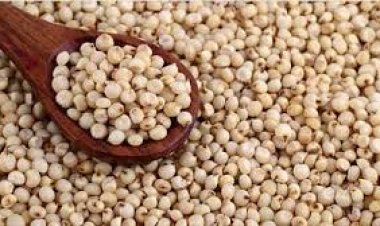 BREAKING : बनावट सातबारा व खोट्या नोंदीद्वारे शासनाला ज्वारी विक्री करणारे १३३ व्यापारी कारवाईच्या रडारवर : गुन्हा दाखल करण्याची प्रक्रिया सुरु