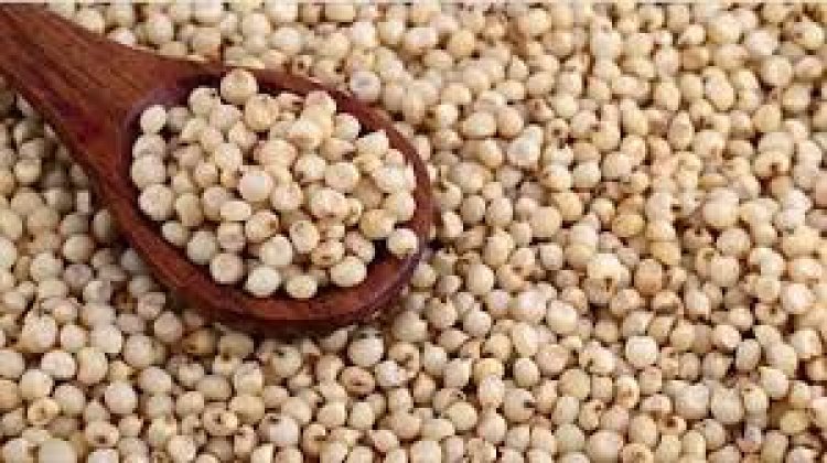 BREAKING : बनावट सातबारा व खोट्या नोंदीद्वारे शासनाला ज्वारी विक्री करणारे १३३ व्यापारी कारवाईच्या रडारवर : गुन्हा दाखल करण्याची प्रक्रिया सुरु