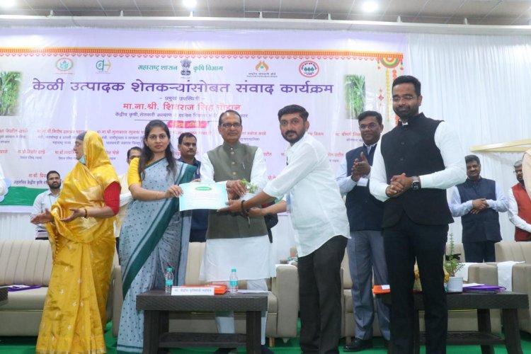 केळी उत्पादक शेतकऱ्यांना केंद्रीय कृषी मंत्र्यांचा दिलासा : क्लस्टरसह कोल्ड स्टोरेजला अनुदान