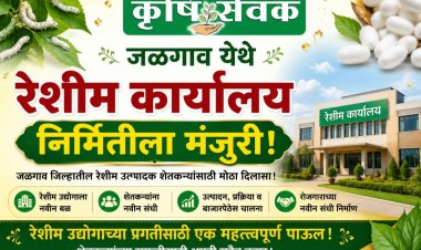रेशीम शेतीला चालना : जळगाव येथे नवीन रेशीम विकास कार्यालयाच्या निर्मितीला मंजुरी