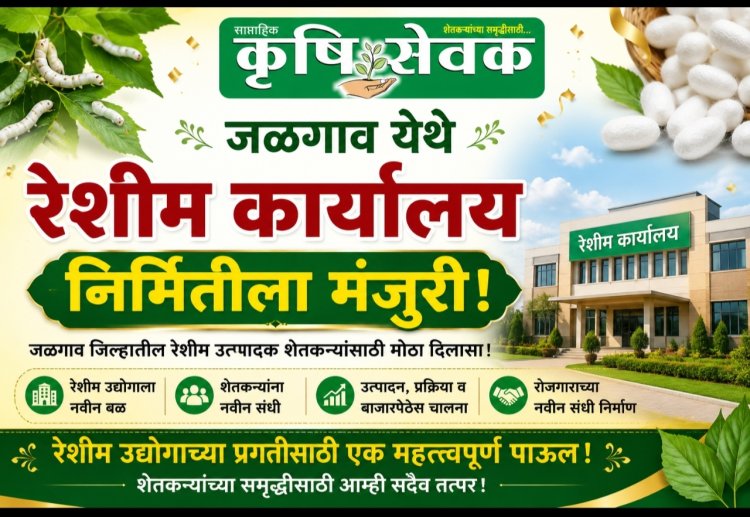 रेशीम शेतीला चालना : जळगाव येथे नवीन रेशीम विकास कार्यालयाच्या निर्मितीला मंजुरी