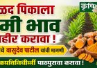 हळद पिकाचा हमी भाव योजनेत समावेश करावा : अजंद्याचे शेतकरी वासुदेव पाटील यांची मागणी