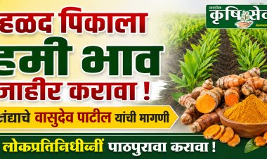 हळद पिकाचा हमी भाव योजनेत समावेश करावा : अजंद्याचे शेतकरी वासुदेव पाटील यांची मागणी