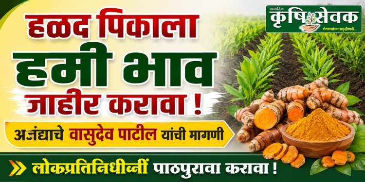 हळद पिकाचा हमी भाव योजनेत समावेश करावा : अजंद्याचे शेतकरी वासुदेव पाटील यांची मागणी